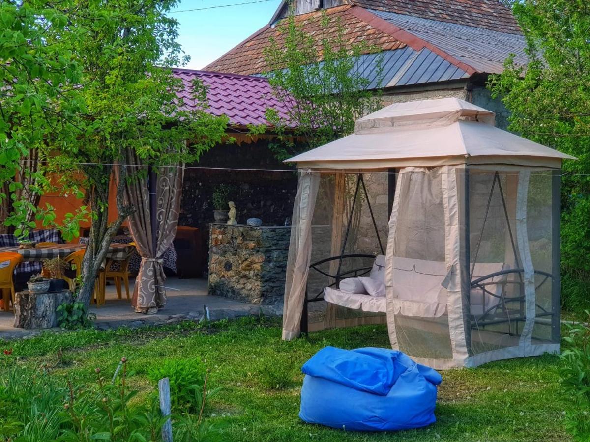 Family Hotel Maia - Cемейная Гостиница Майя Dashbashi المظهر الخارجي الصورة