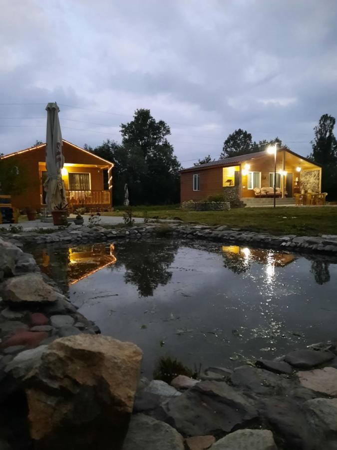 Family Hotel Maia - Cемейная Гостиница Майя Dashbashi المظهر الخارجي الصورة