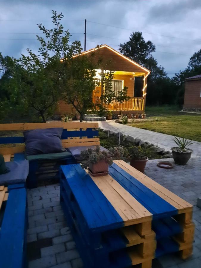 Family Hotel Maia - Cемейная Гостиница Майя Dashbashi المظهر الخارجي الصورة