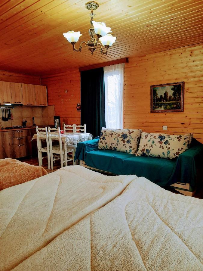 Family Hotel Maia - Cемейная Гостиница Майя Dashbashi المظهر الخارجي الصورة